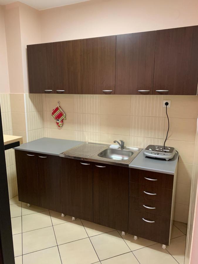 Mila Apartment Novi Sad Esterno foto